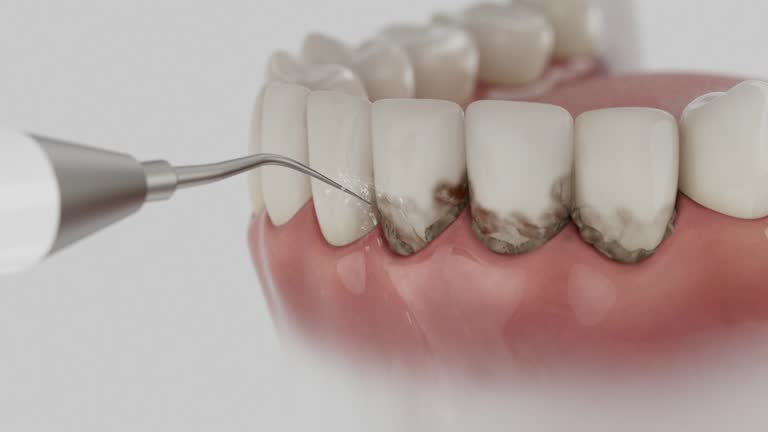 Reliable Dental contractor in Brookville, IN by Dentist Open Now